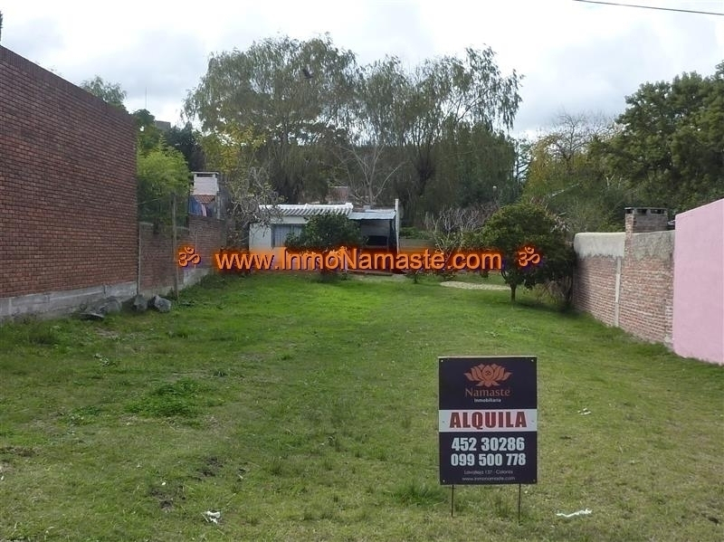 ALQUILER - Casa de 1 Dormitorio con Amplio Terreno en Colonia del Sacramento
| Inmobiliaria Namasté | Colonia, Uruguay