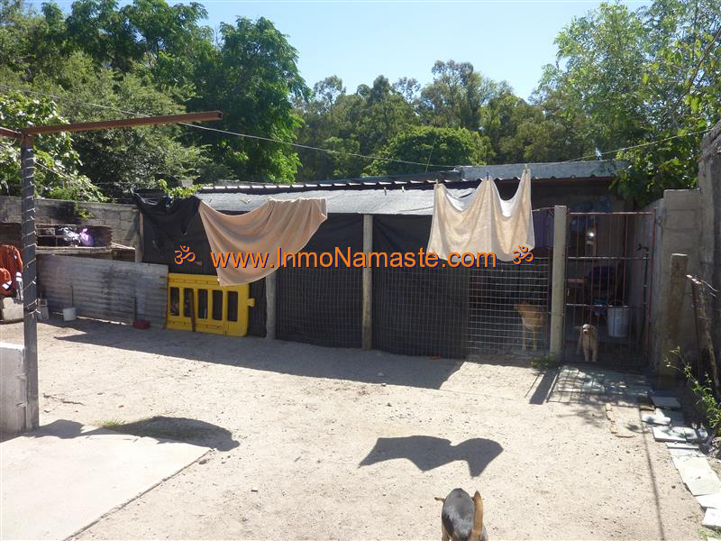 VENTA - Oportunidad, 3 Casas en un solo padrón en Los Nogales en Colonia del Sacramento
 | Inmobiliaria Namasté | Colonia, Uruguay